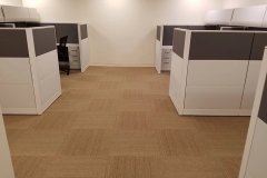 fa22f0_65a9cb1118cc4c6090f2d16661cea301_mv2_d_4032_3024_s_4_2